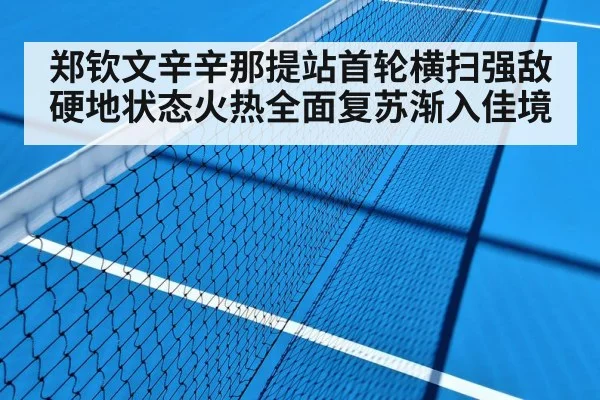 hard court tennis match