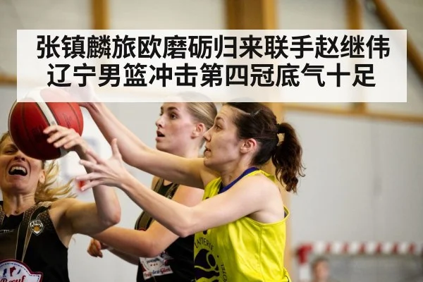 张镇麟旅欧磨砺归来联手赵继伟 辽宁男篮冲击第四冠底气十足